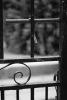 DSC_5180